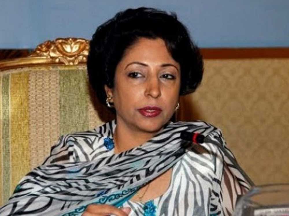 Maleeha Lodhi termed India as the 'mother of terrorism' in South Asia. Twitter photo.