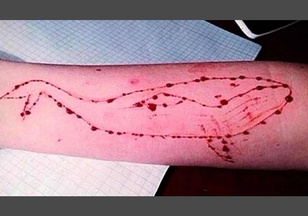 The police suspect that Ajay was addicted to Blue Whale as there were cut injuries on his hand. Ajay is an MBA student at a private college in Mysuru. He has been living in Mysuru for the past three years, the police said. File photo