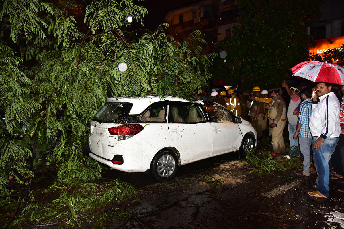 Fire and Emergency Services personnel struggling to clear a tree branch that fell on a car parked in front of Syndicate Bank at Gandhinagar on Sunday. DH PHOTO