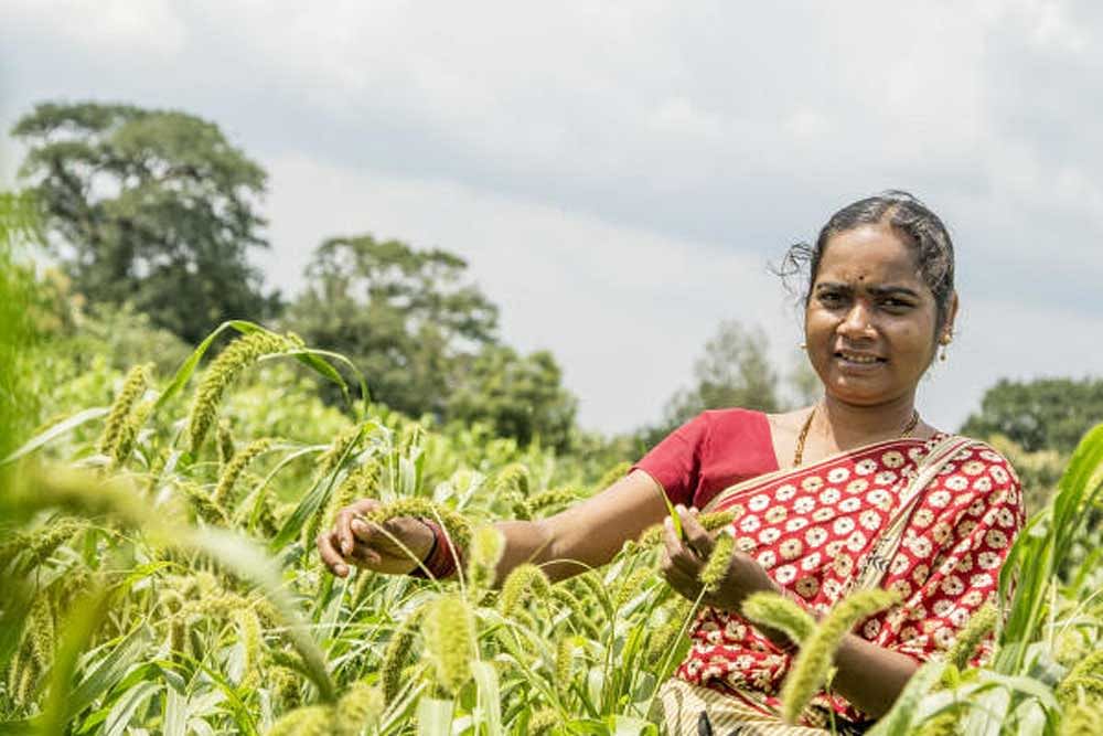 Revival of climate-smart crops