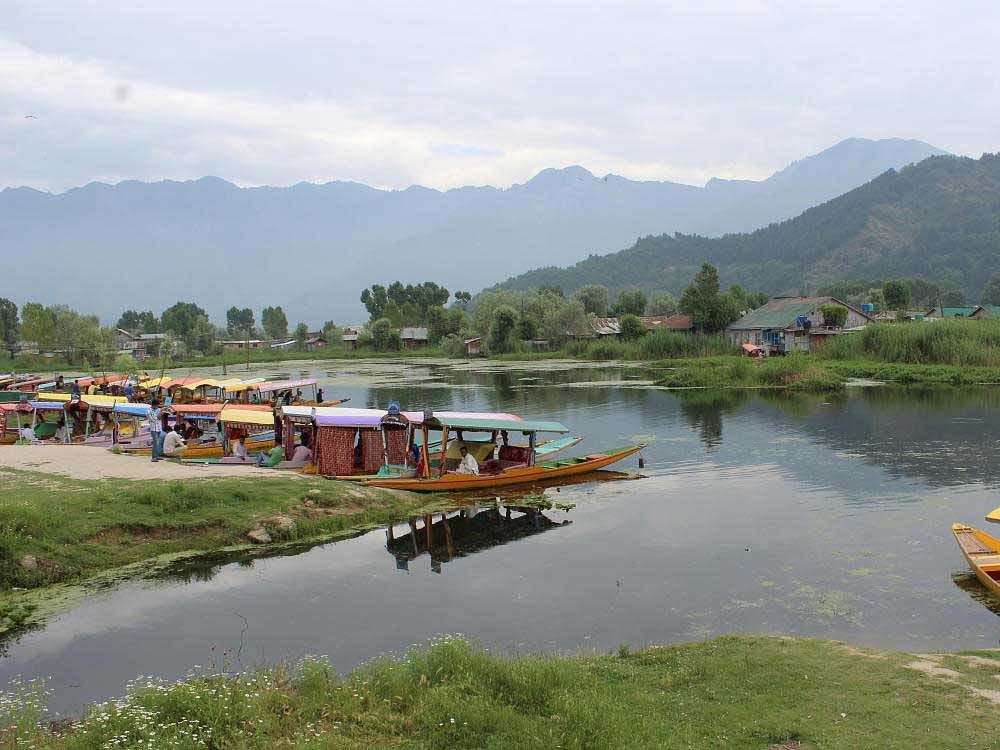 A view of the 'shikharas' in Dal Lake.