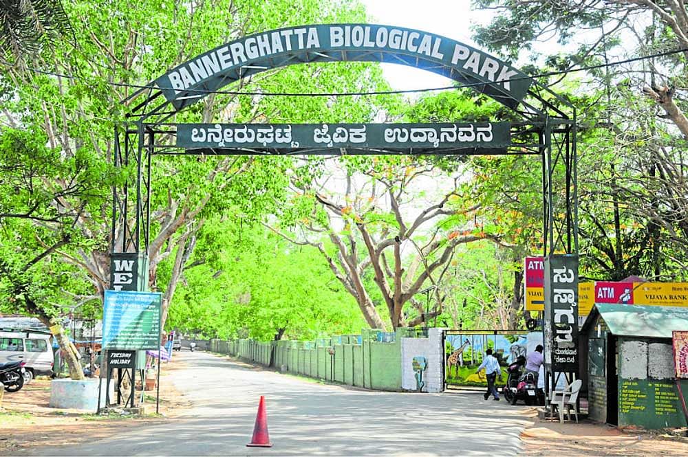 The entrance of Bannerghatta Biological Park. File photo