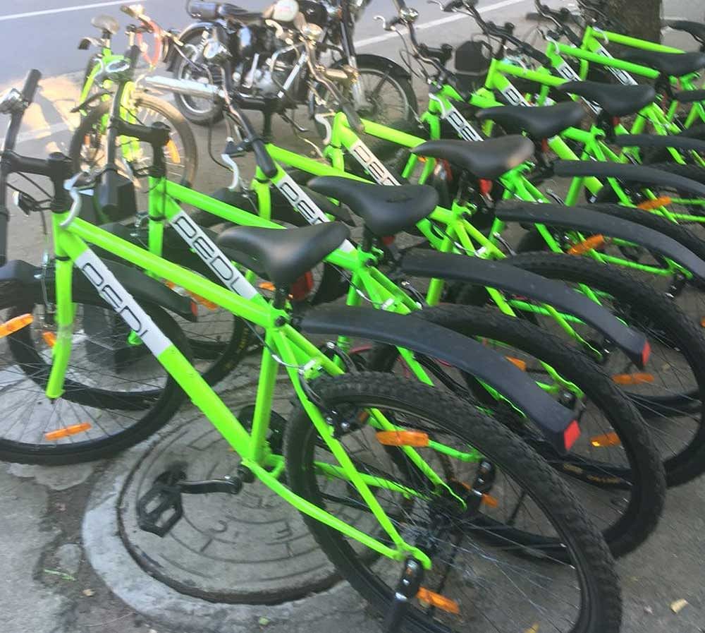 A row of PEDL-branded bicycles ready for sharing. Twitter photo.