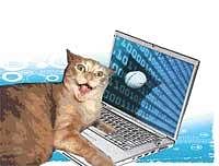 Cat brain inspires computer