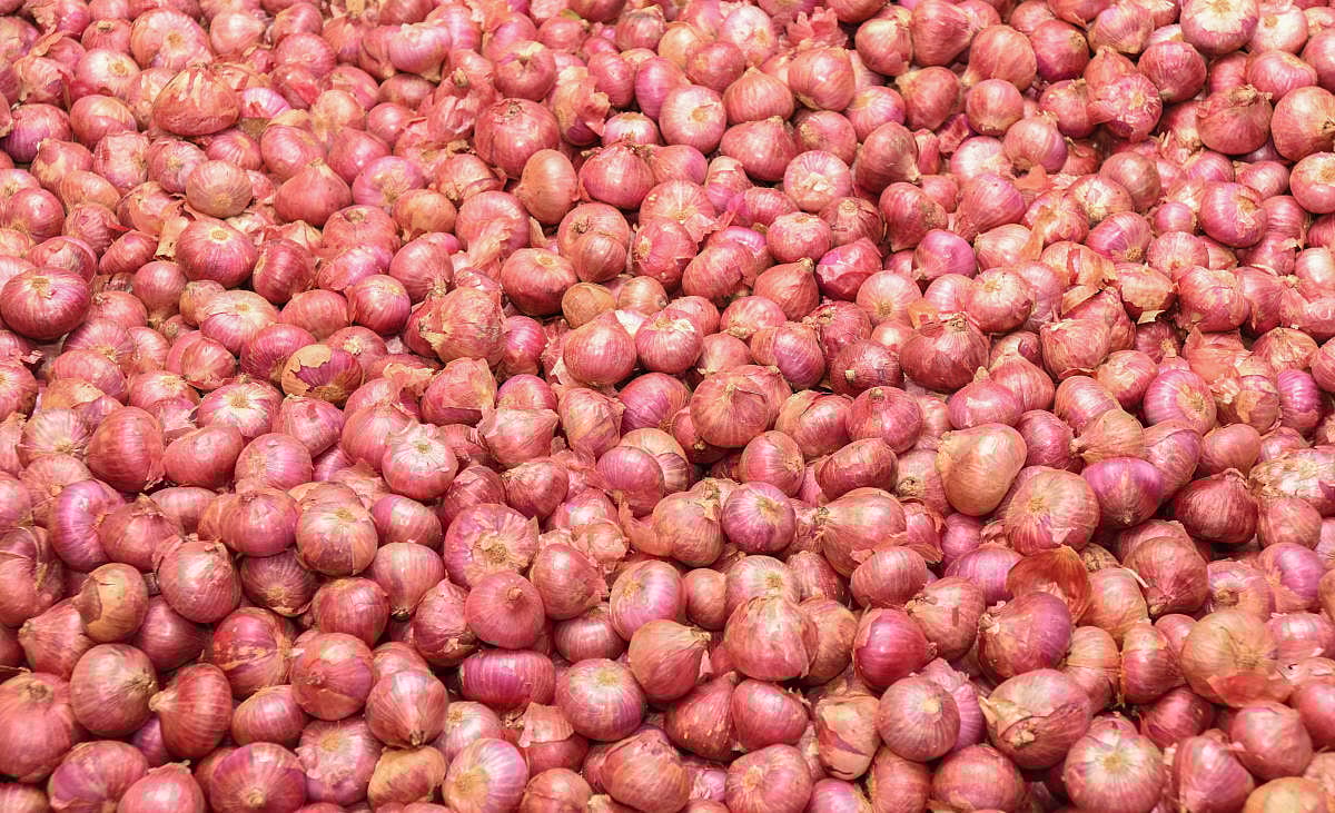 Onion acreage shrinks in Karnataka, brings tears in north