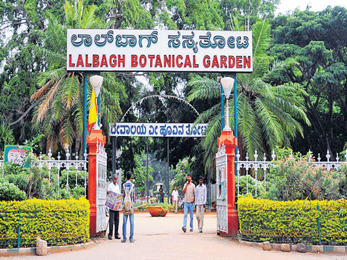 Struggling to handle the mounting garbage pile, the Lalbagh Garden management said it will strictly enforce an existing rule banning food brought from outside. File photo