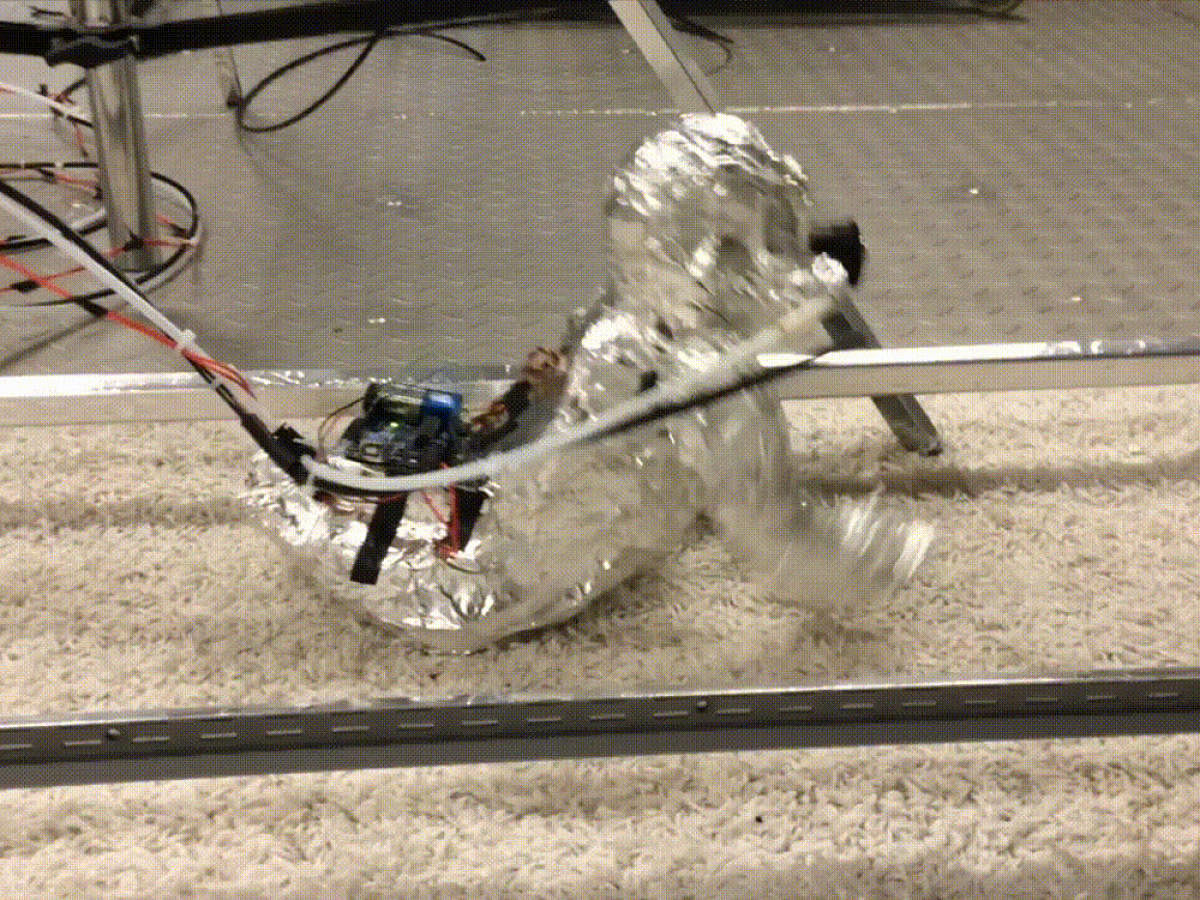 A robot baby was used to determine how much biological material crawling infants stir up from carpets by a research team led by Brandon E. Boor, an assistant professor at Purdue University. They found that crawling children breathe in four times what an adult would breathe in walking across the same floor.