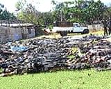 Massacre: Bodies of LTTE cadre at Mullaitivu. Lankan  army photo