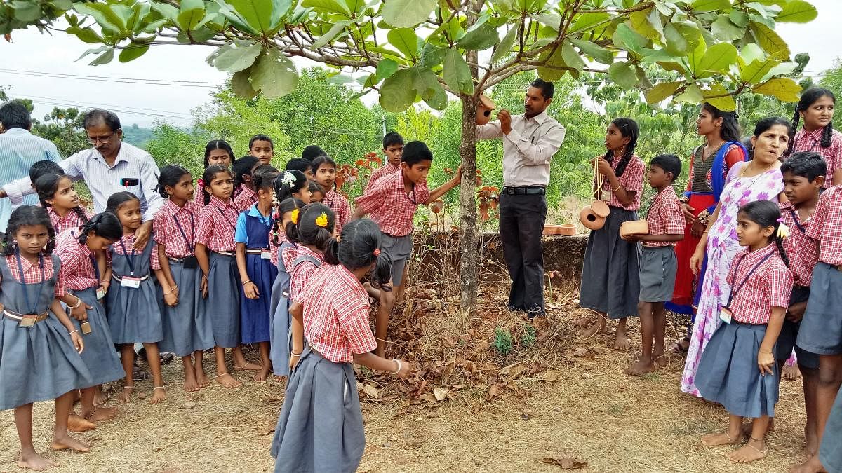 Students enthusiastically participate in placing a sparrow nest on a tree at Kadtalabettu Government Higher Primary School in Bantwal taluk.