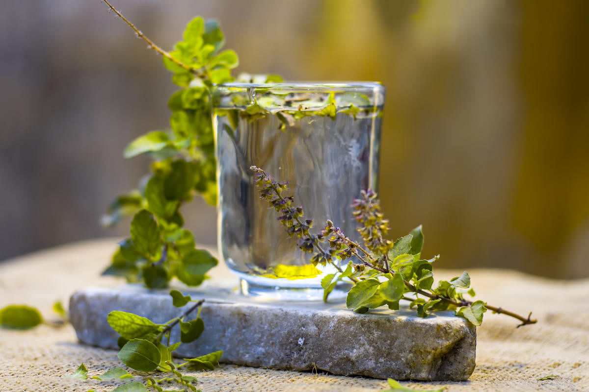The water of holy basil or tulsi.