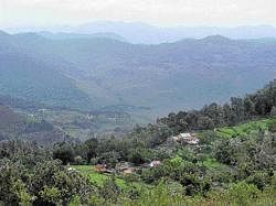 At the end of your stay in Yercaud, youll feel closer to heaven.