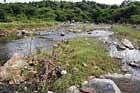 bone of contention: The site proposed for construction of a dam for the Yaragol project near Bangarpet. dh photo