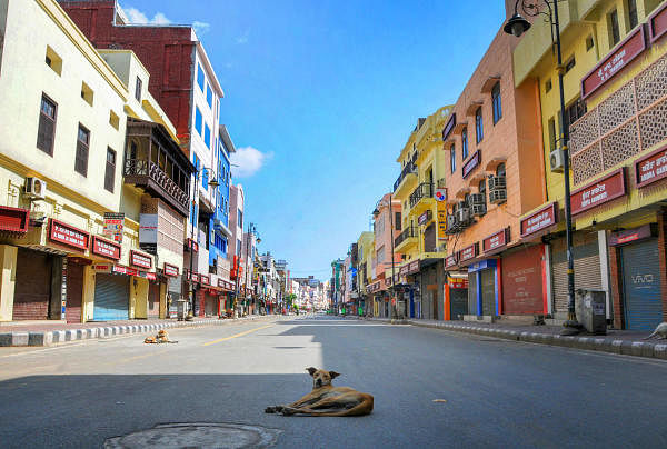 A deserted view of Hall Bazaar during nationwide lockdown in the wake of coronavirus outbreak, in Amritsar, Saturday, March 28, 2020. (PTI Photo)