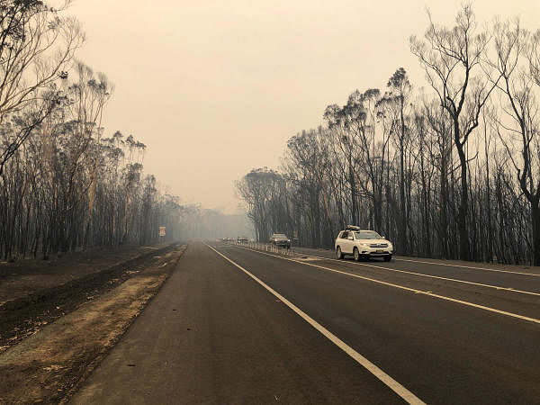 Bushland burned out by bushfires surrounds the Princes Highway in Ulladulla, NSW, Australia, January 2, 2020. (Reuters Image)