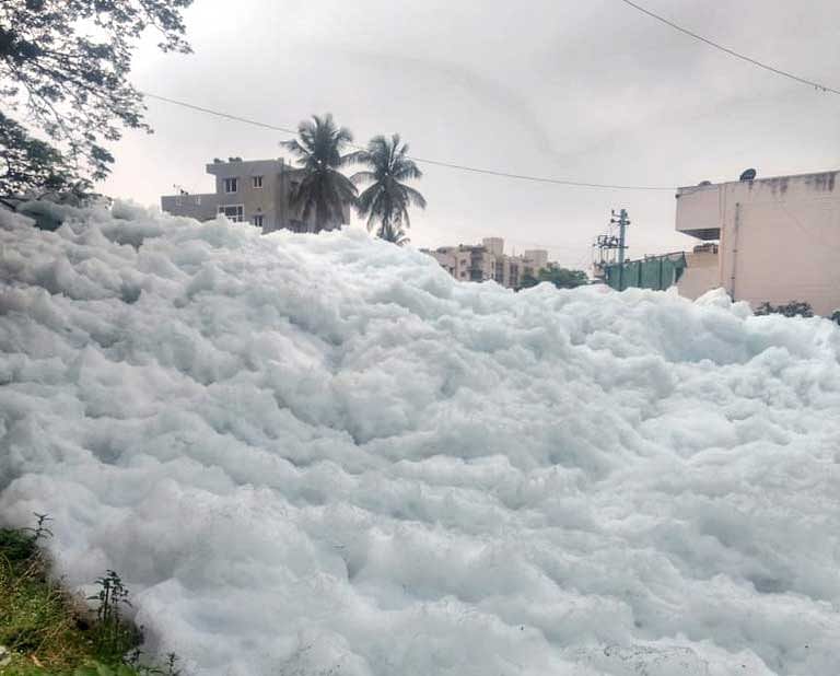 Over the years, the Bellandur lake has known for foaming multiple times and even catching fire on occasions. DH Photo