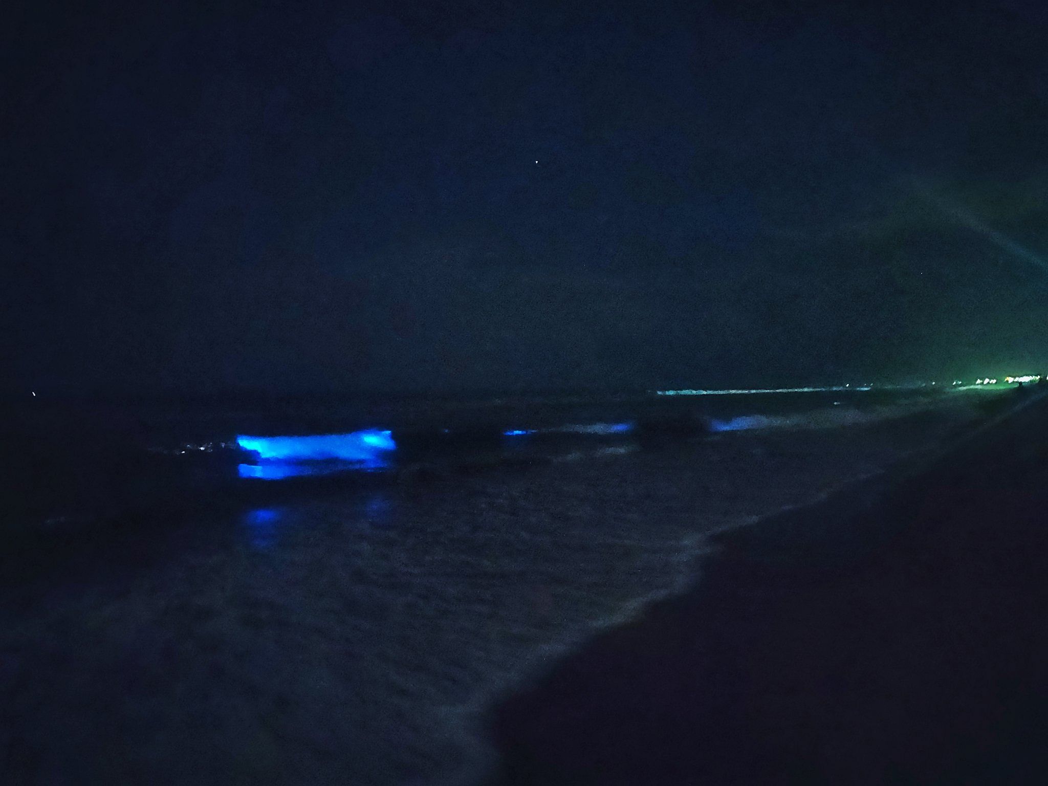Thousands of people were elated over bioluminescent waves being spotted along the Chennai coast. (Photo Twitter/Ajay Shyam (@ajaw_))
