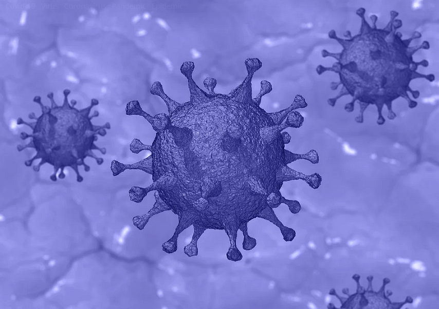 Coronavirus positive case related Jubiliant Life Sciences detected in Mandya (Picture credit: Pixabay)