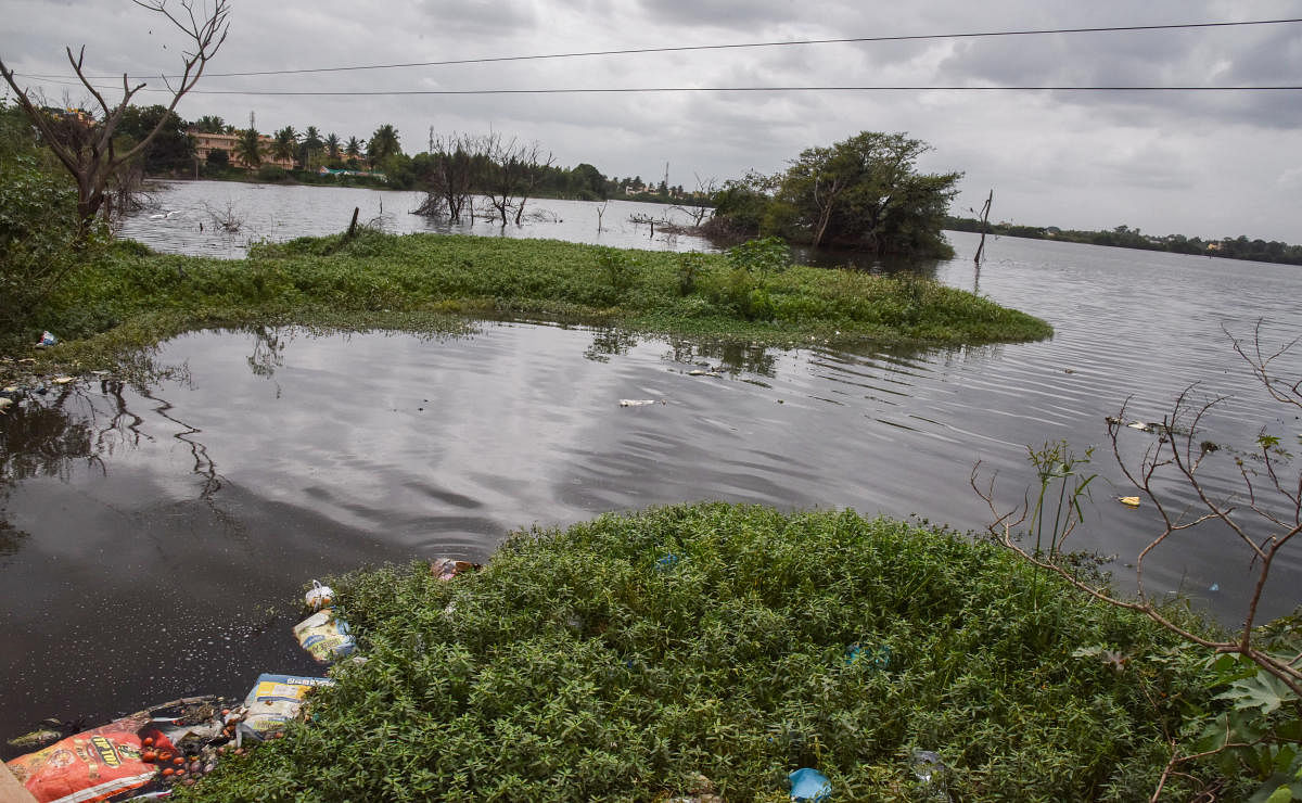 Sewage water been let into the Chikkabanavara Lake at Abbigere. (DH PhotoS/S K Dinesh)