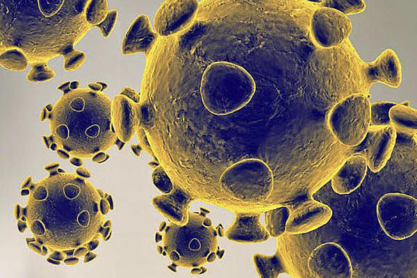 This handout image obtained in February 2020 courtesy of the US Food and Drug Administration shows the novel coronavirus. Credit: AFP Photo