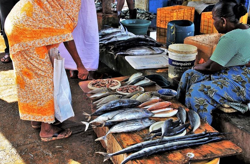 Representational image--Stop fish-laden trucks from other states entering Mangaluru, minister tells to district admins (Picture credit: Pr