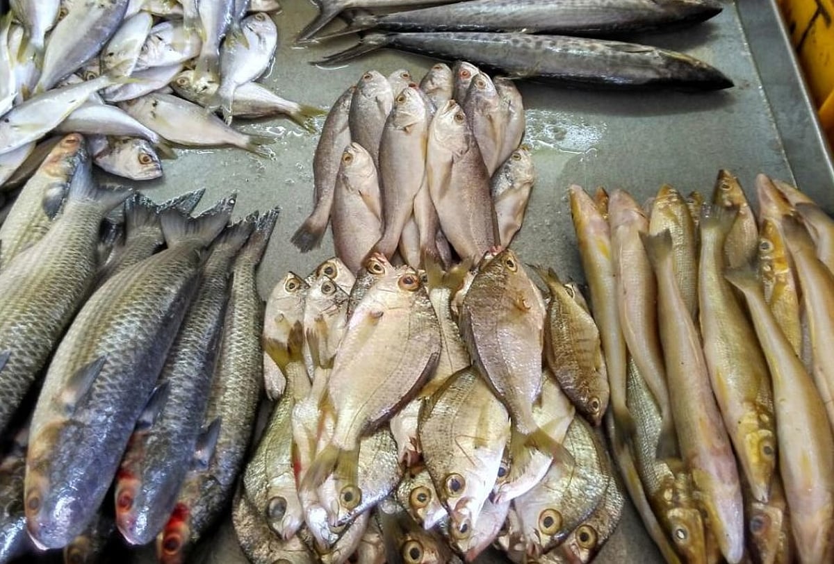 9,600 kg of formalin-laced fish seized