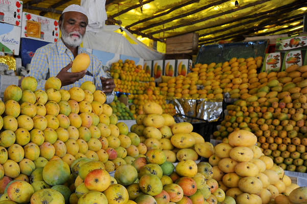 A mango seller arranges different variety of fruits at his stall on TV Tower Road near Jayamahal in Bengaluru on Friday. What once housed 150 mango stalls has come down to just two due to the lockdown. DH Photo/ Pushkar V
