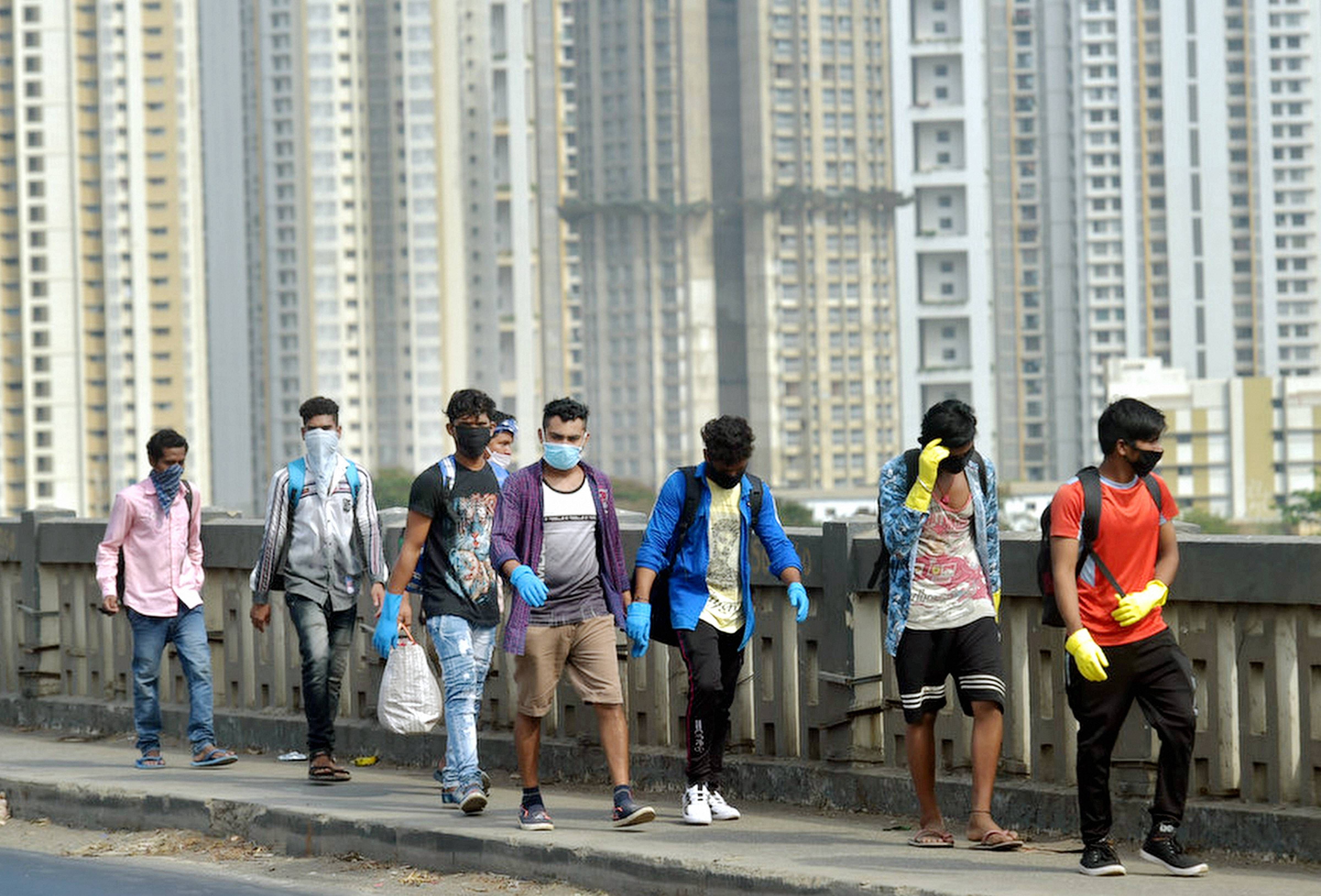 Migrants from the northern states walk home. (PTI Photo)