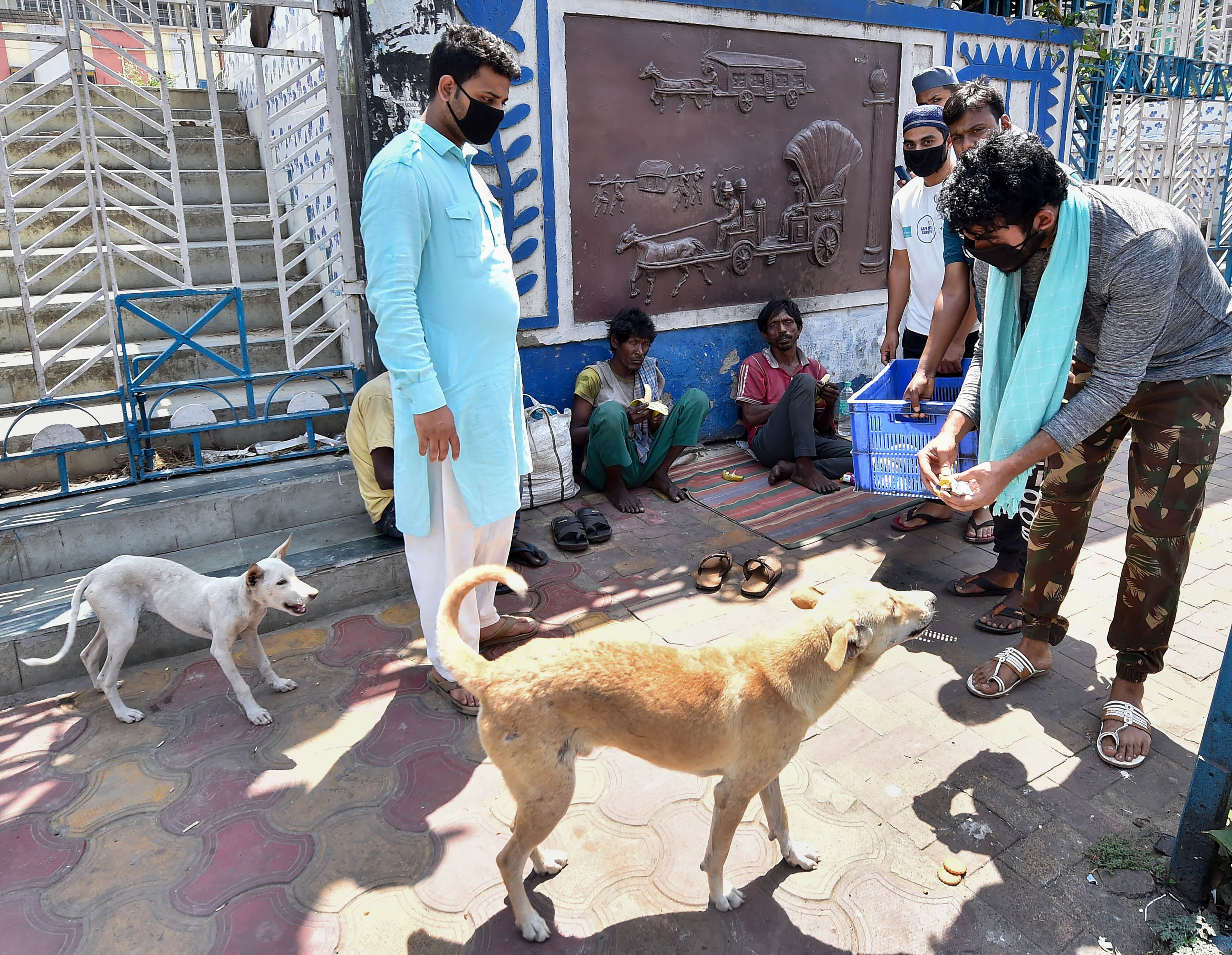 Representative image. (Credit: PTI Photo)