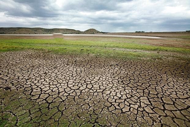 Drought-affected Marathwada and Vidarbha region, comprising 19 districts, is a hotbed of farmers’ suicides. Representative Image/All India Radio News Twitter 