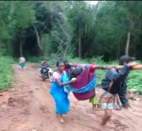The villagers made a cradle out of bamboo sticks and cloth and carried her for nearly six kilometres to reach the main road where they shifted her to a waiting ambulance. Photo/ANI Screengrab