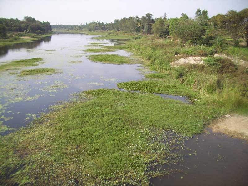 About 80 lakh litres of chemical-laced water was drained into farmland and Shimsha river following the explosion of a boiler at a distillery plant of NSL Sugar Factory in Maddur taluk on November 21.