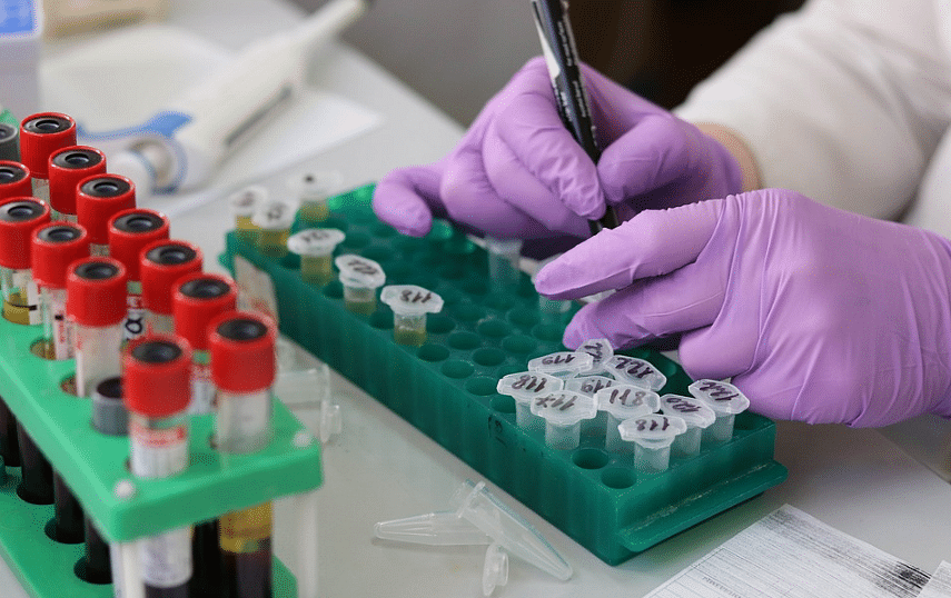 Arunachal Pradesh and Nagaland lack a COVID-19 testing lab (Picture credit: Pixabay)