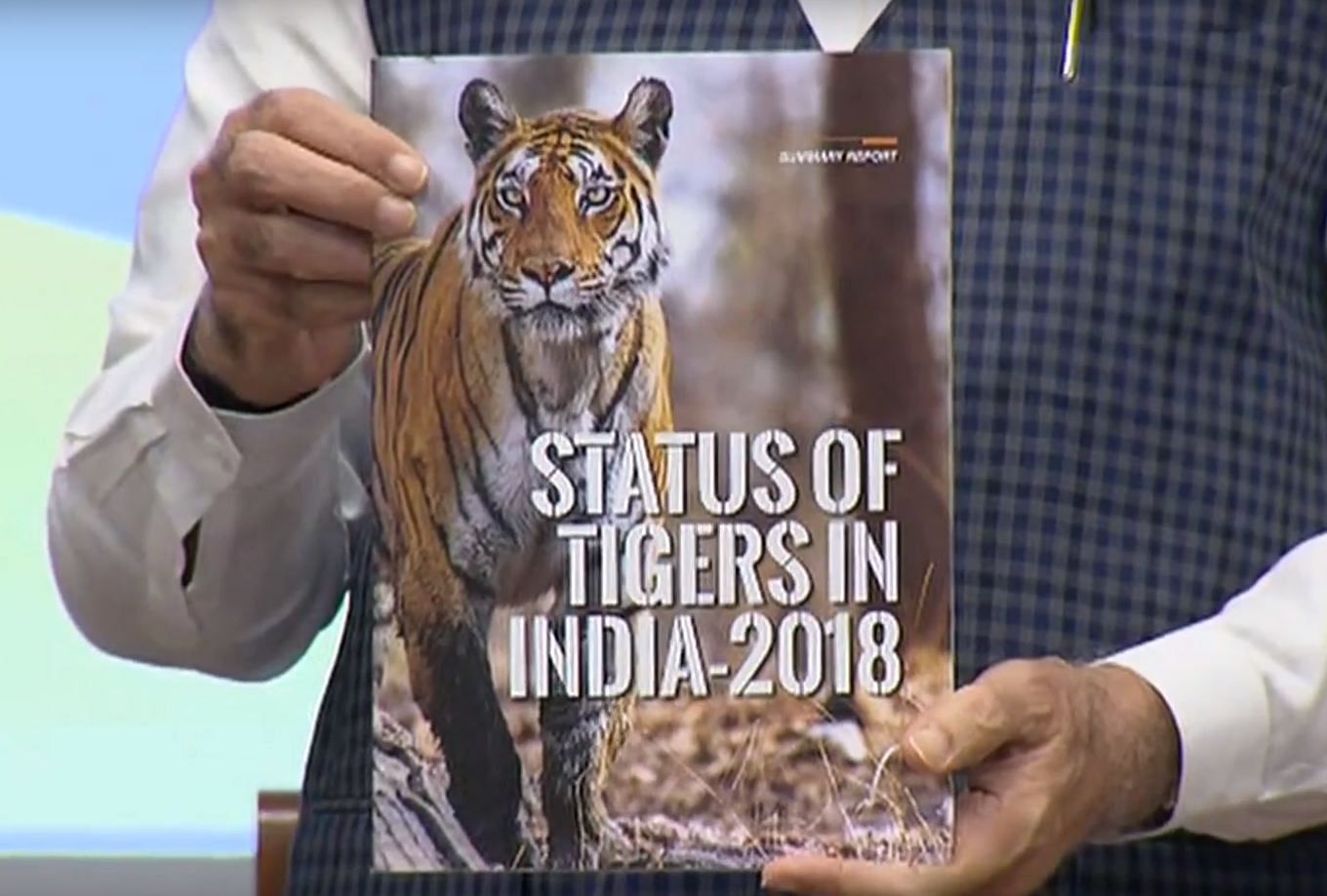 Prime Minister Narendra Modi releases the fourth cycle of All India Tiger Estimation 2018. (Video Grab)