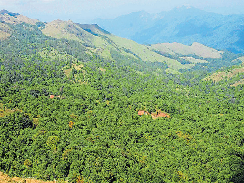 Grazing, massive pilgrimage, tourism and mining are identified as the major threats. The report calls for intensive and targeted management to conserve existing values and remedy past damage.