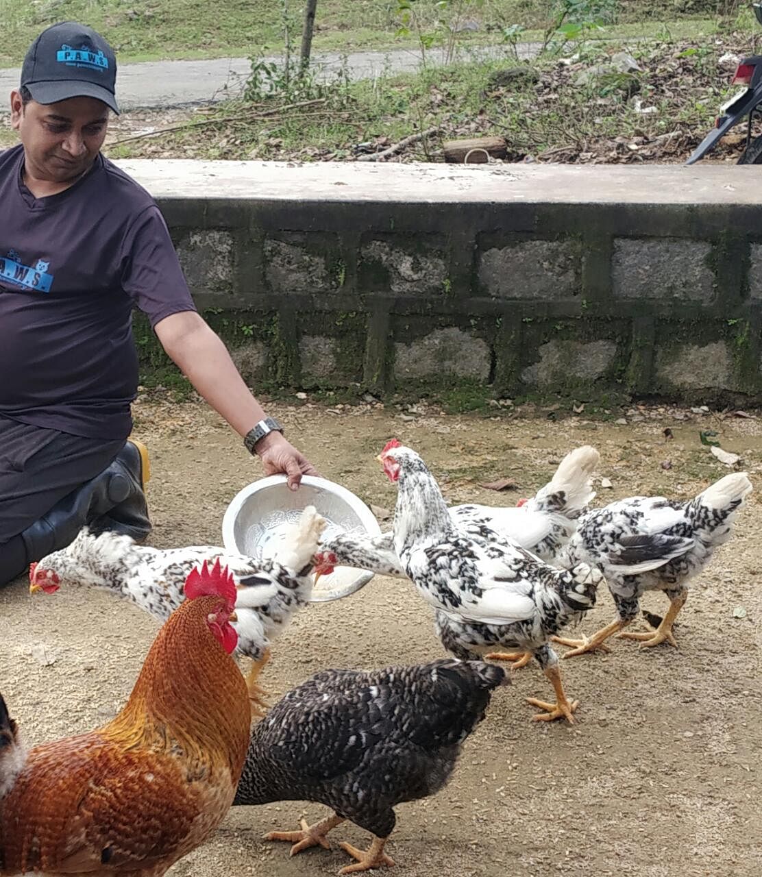 Volunteers from many states helped rescue and feed affected animals in Kodagu.