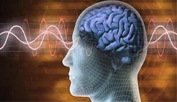 Research shows that the two halves of the brain attend in different ways to the same things.