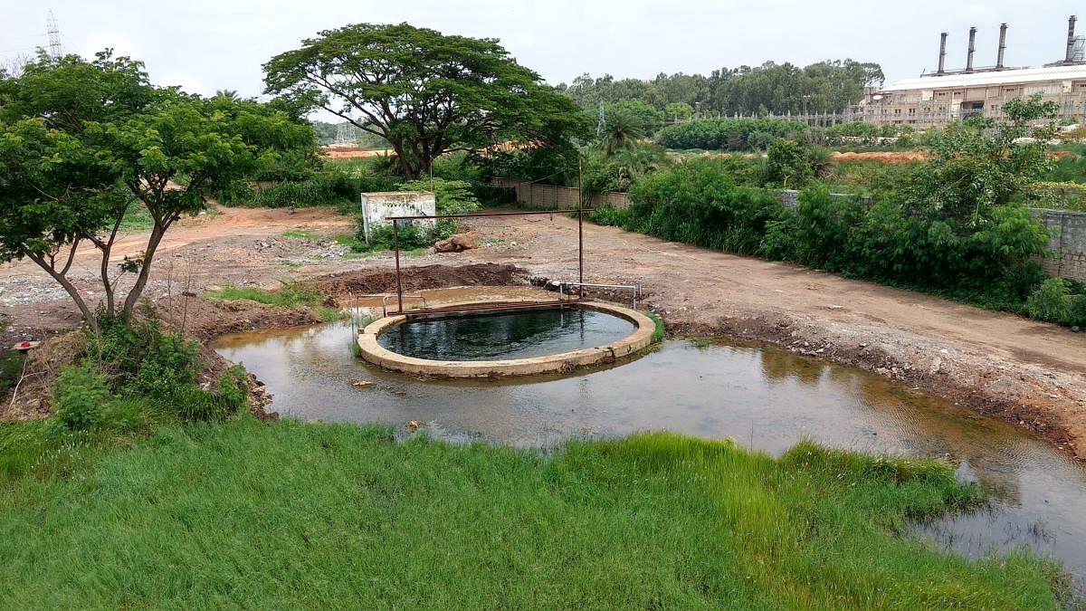 A view of a wetland at the Rail Wheel Factory