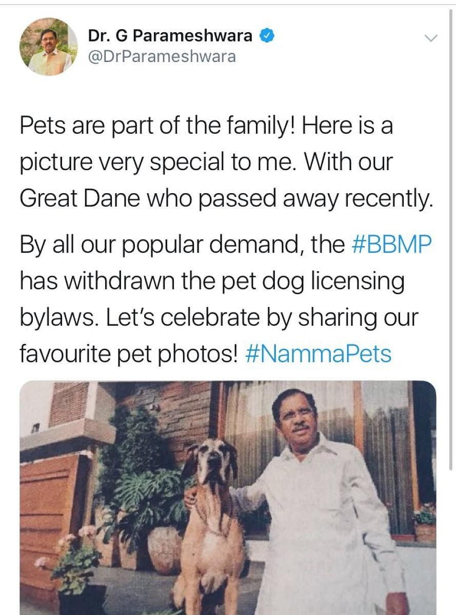In a tweet, Deputy Chief Minister G Parameshwara asked people to pose with their pets to celebrate the victory of pet lovers.