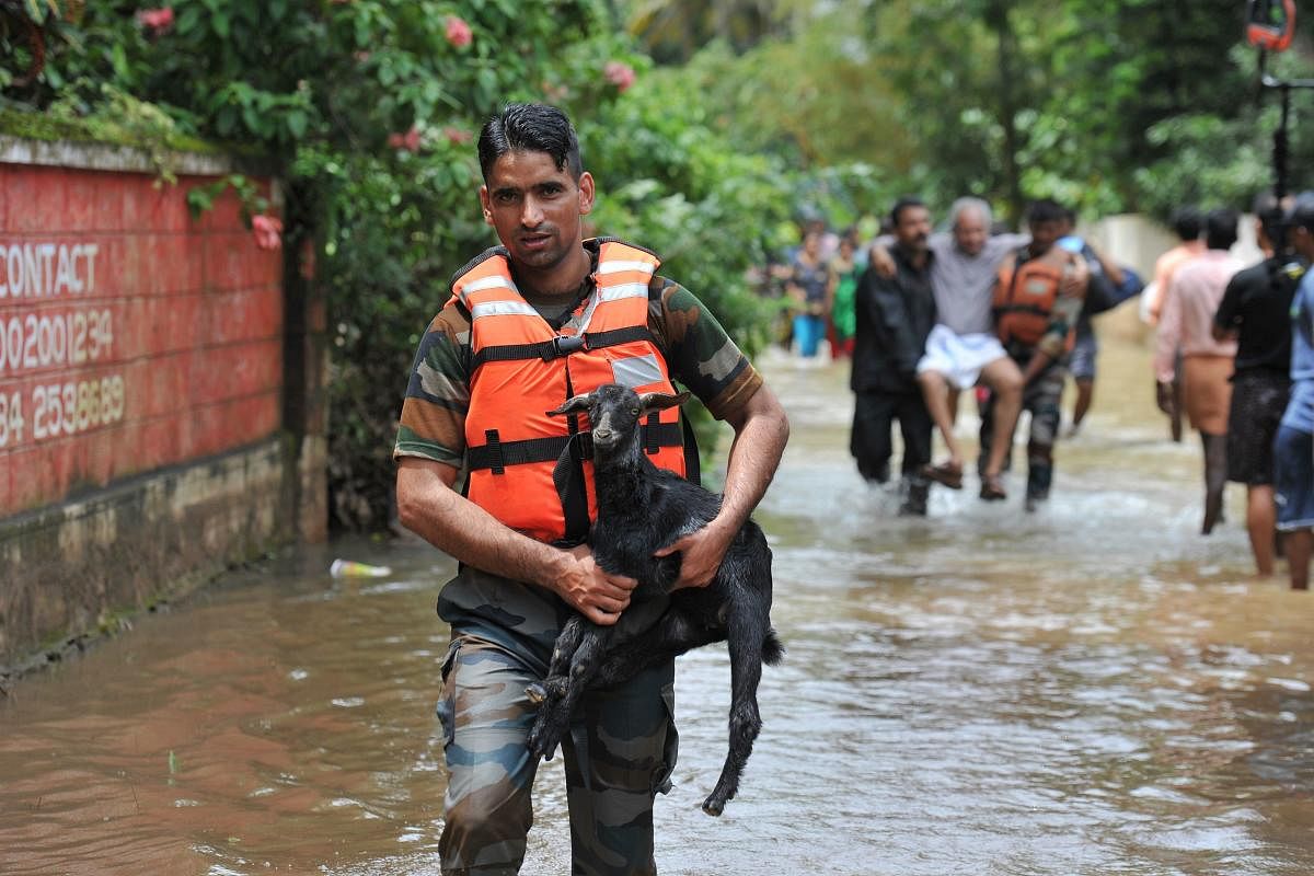 Rescue personnel carry animals and elderly people to safety from flood waters during a rescue operation at Mala village in Thrissur District, in the south Indian state of Kerala. (AFP photo)