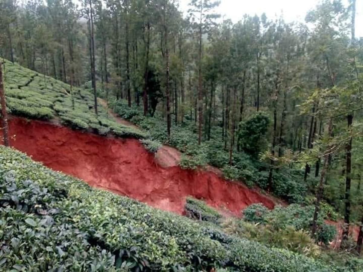 A view of the landslide at Mysuru Plantations, Bhoothanakadu, Chikkamagaluru district. DH Photo