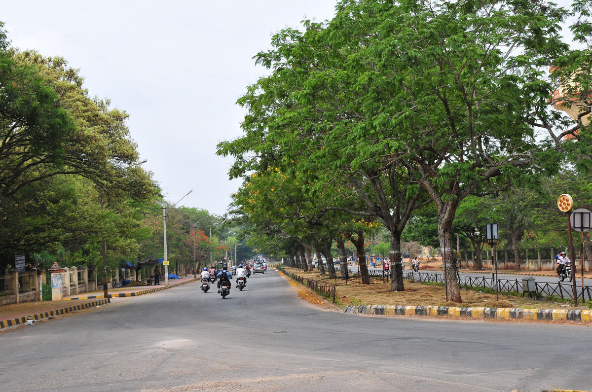 A view of Krishnaraja Boulevard, where the Open Street Festival is scheduled for Oct 13.