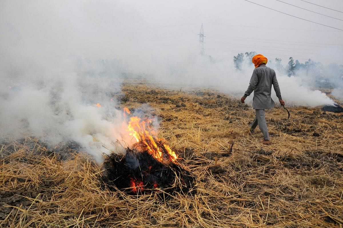 Smoke rises as a farmer burns paddy stubbles at a village on the outskirts of Amritsar, despite a ban, before growing the next crop. PTI Photo