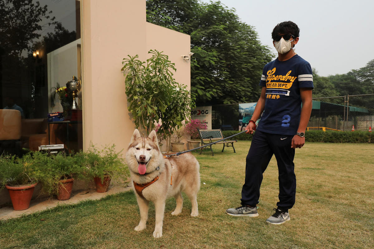 The owner of a Siberian Husky named "Juno" waits to collect it from TopDog, a Luxury Pet Resort, in Gurugram. (Reuters Photo)
