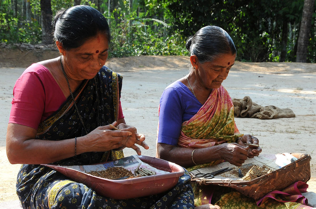 A file photo of beedi rolling.