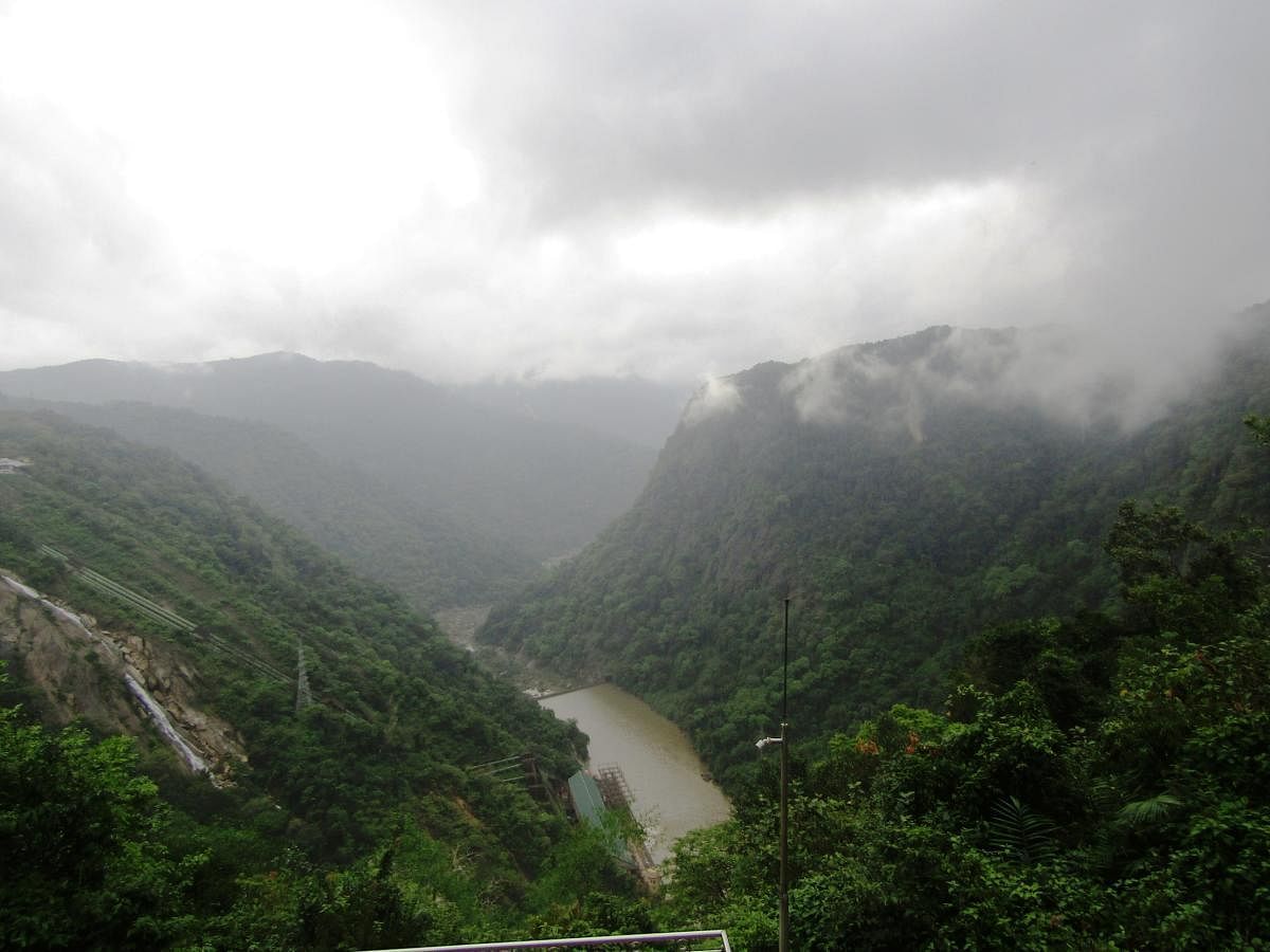 Western Ghats forest area in Shivamogga district.