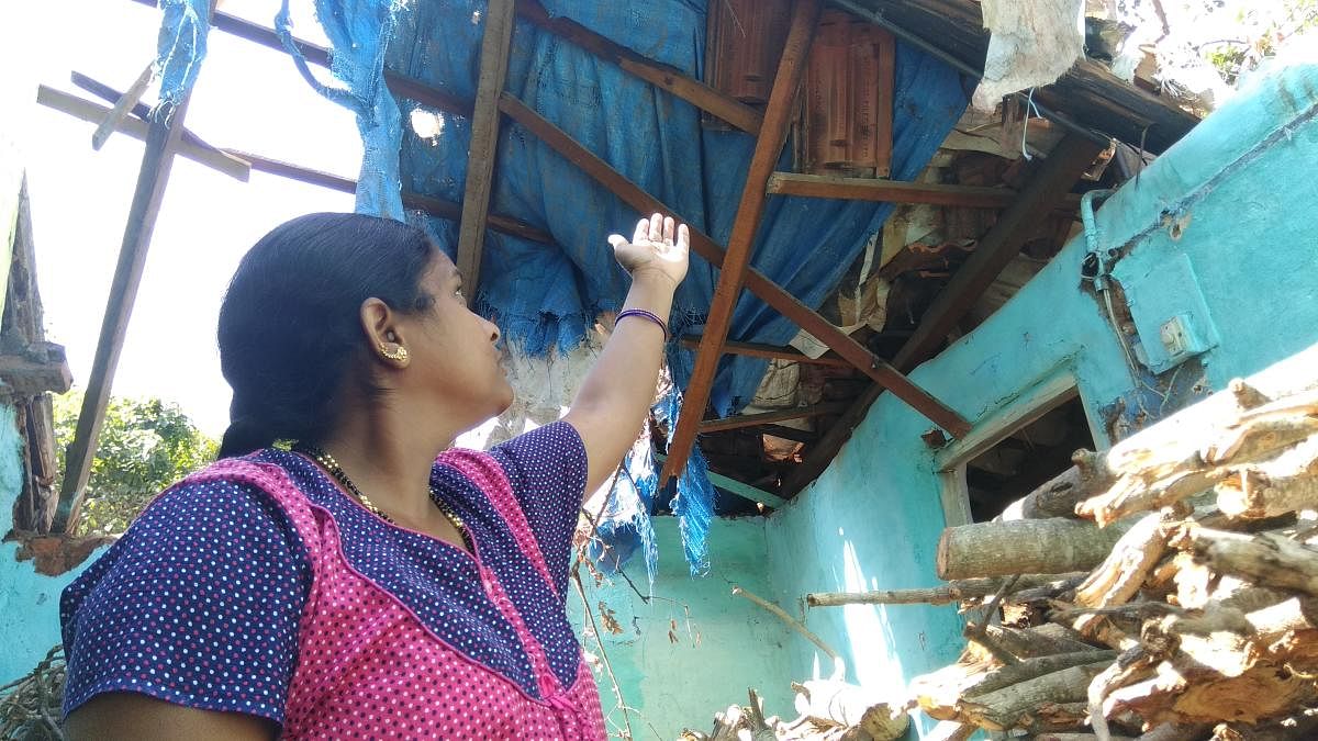 Devamma shows the dilapidated condition of the roof of her house in Medar Block, near Bamboo Bazaar, in Mysuru, after a tree collapsed on the structure in October.