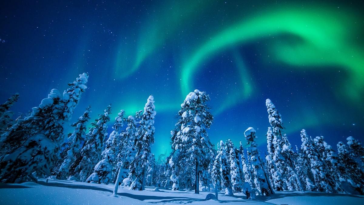 The Finns head to watch the Northern Lights