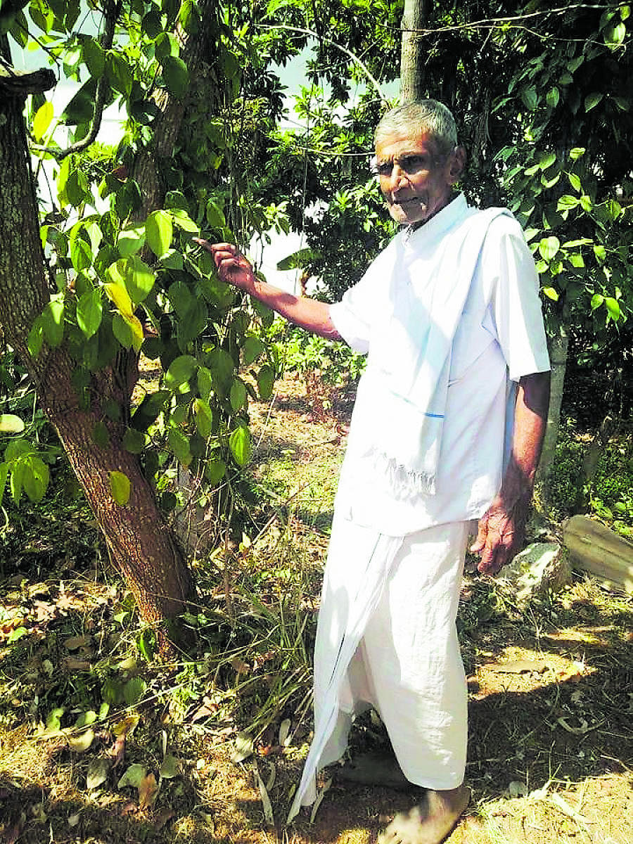 Organic farmer L Narayana Reddy. DH file photo.