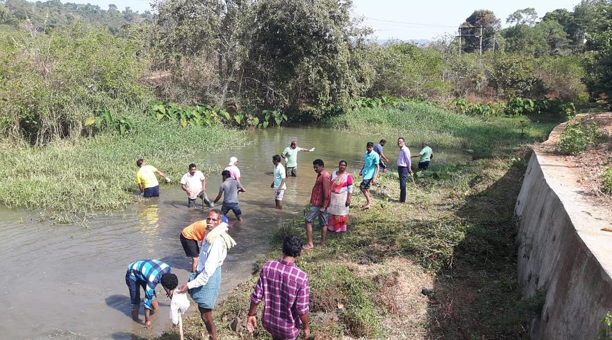 Volunteers of Sundekere Nadi Ulisi Abhiyana cleaned the Sundekere river at Mudigere town on Sunday.