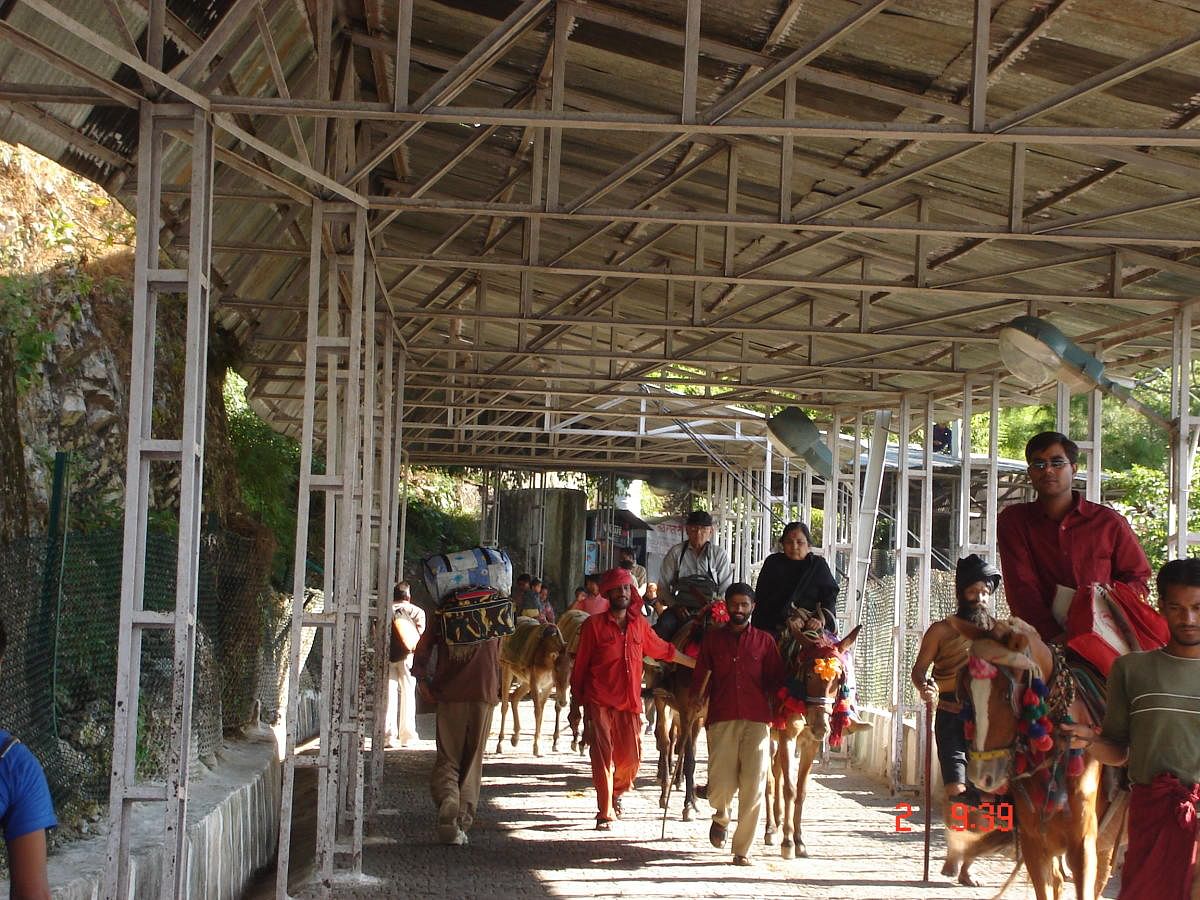 Pilgrims riding on horses on Vaishno Devi Yatra